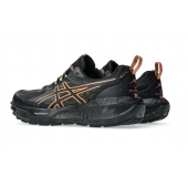 Женские Кроссовки Asics GEL-SONOMA 8 GTX Black / Dark Pink Clay 