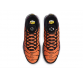 Кроссовки NIKE AIR MAX PLUS 