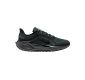 Кроссовки NIKE AIR ZM PEGASUS 41 GTX 