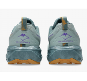 Женские Кроссовки Asics Gel Sonoma 8 Женские Кроссовки Asics Gel Sonoma 8