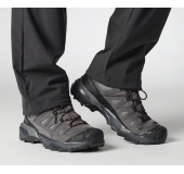 Кроссовки Salomon X Ultra 360 LTR MID GTX 