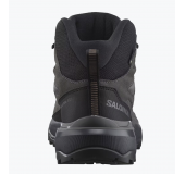 Кроссовки Salomon X Ultra 360 LTR MID GTX 