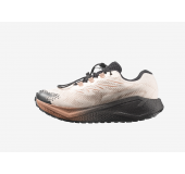 Кроссовки Salomon Blaze 4 GRVL GTX 