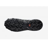 Кроссовки Salomon Speedcross 6 GTX 