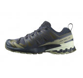 Кроссовки Salomon XA PRO 3D V9  