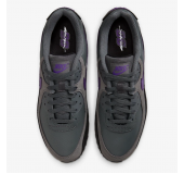 Кроссовки Nike Air Max 90 "Iron Grey/Wild Grape" 