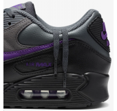 Кроссовки Nike Air Max 90 "Iron Grey/Wild Grape" 