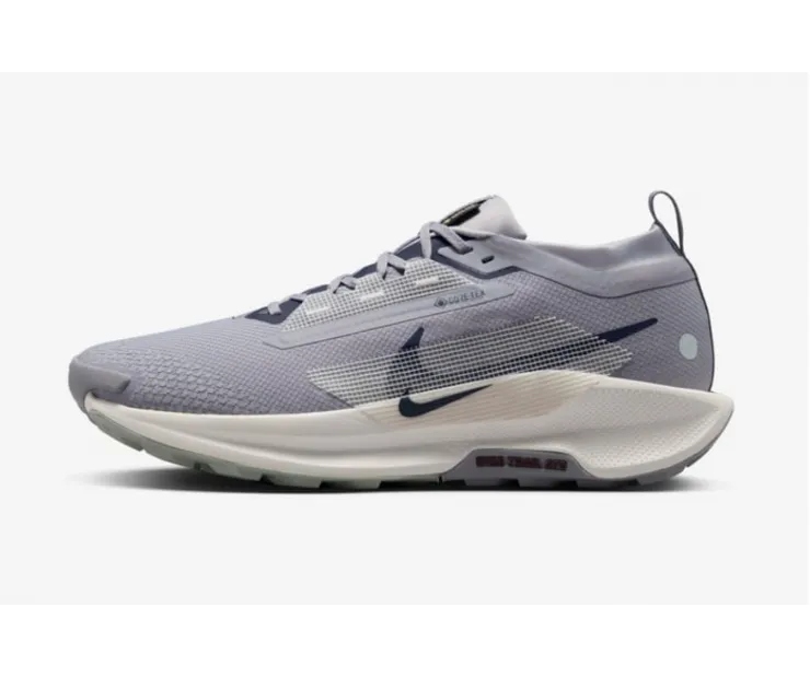 Кроссовки Nike Pegasus Trail 5 GORE-TEX